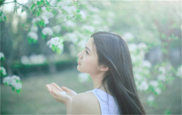 西乡验血查男女几周可以验(验血查男女结果图)